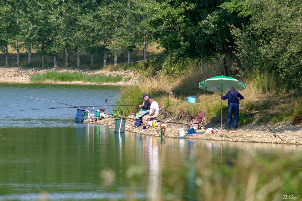 Les meilleurs campings avec étang de pêche en Vendée